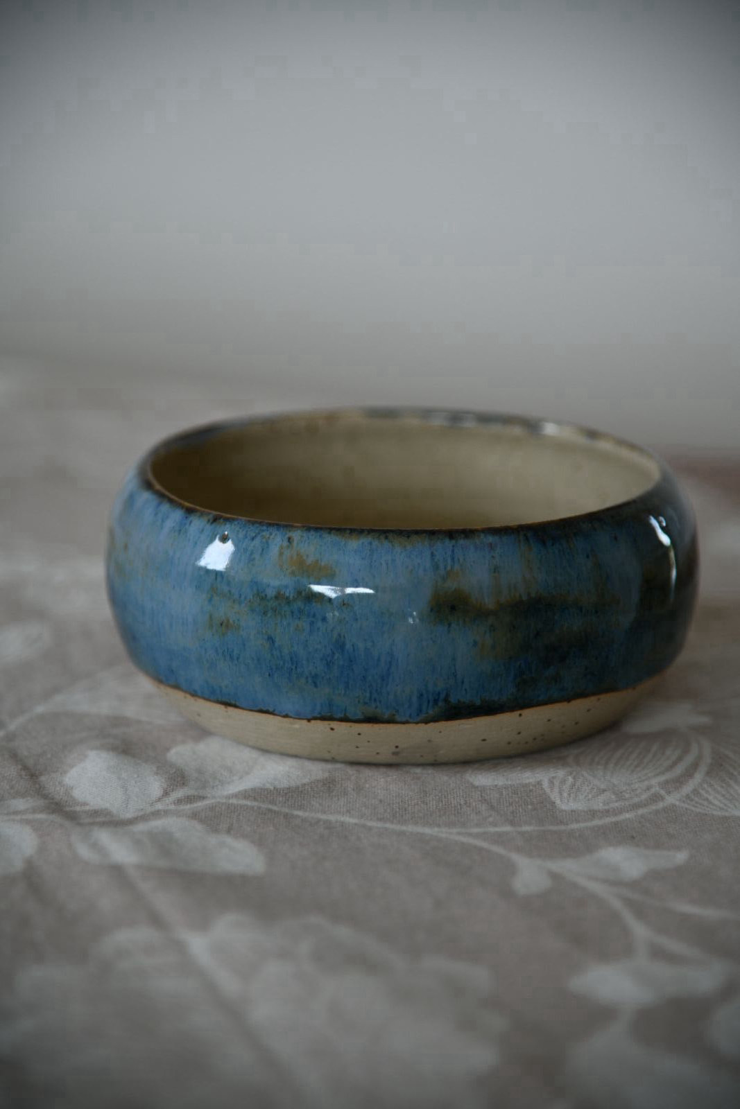 bowl with blue band 5