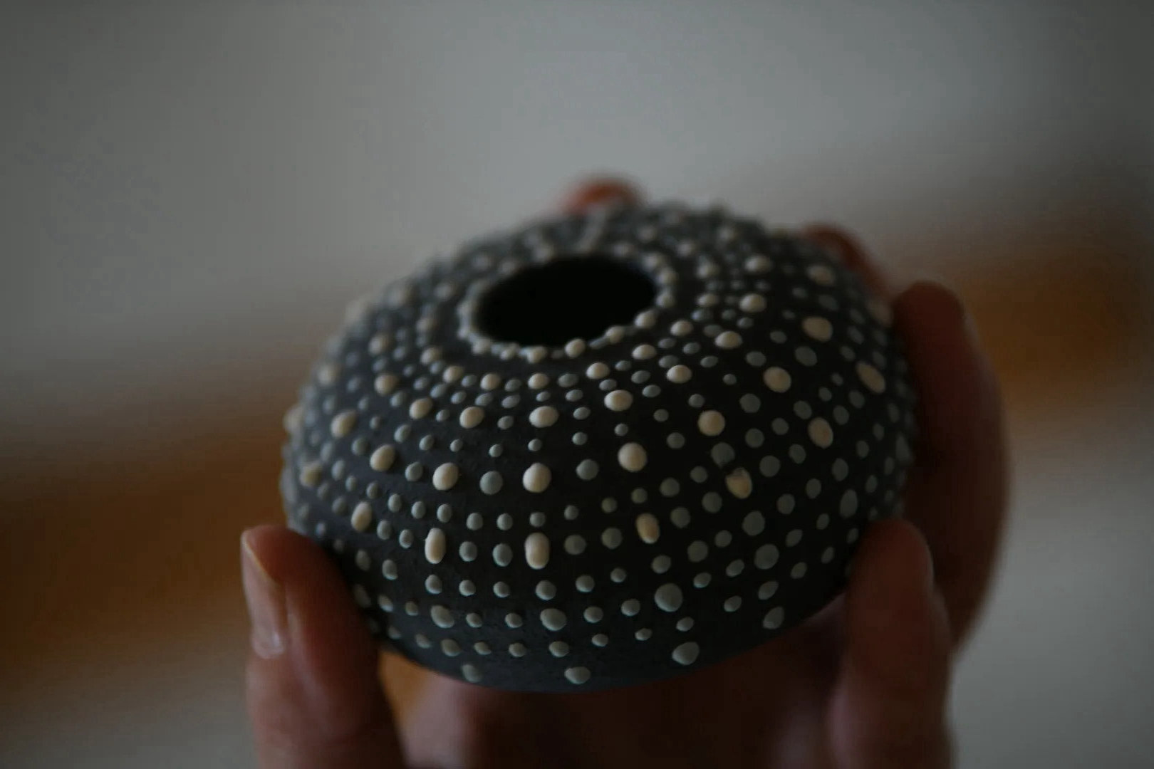 Sea Urchin Diffuser – Black 2