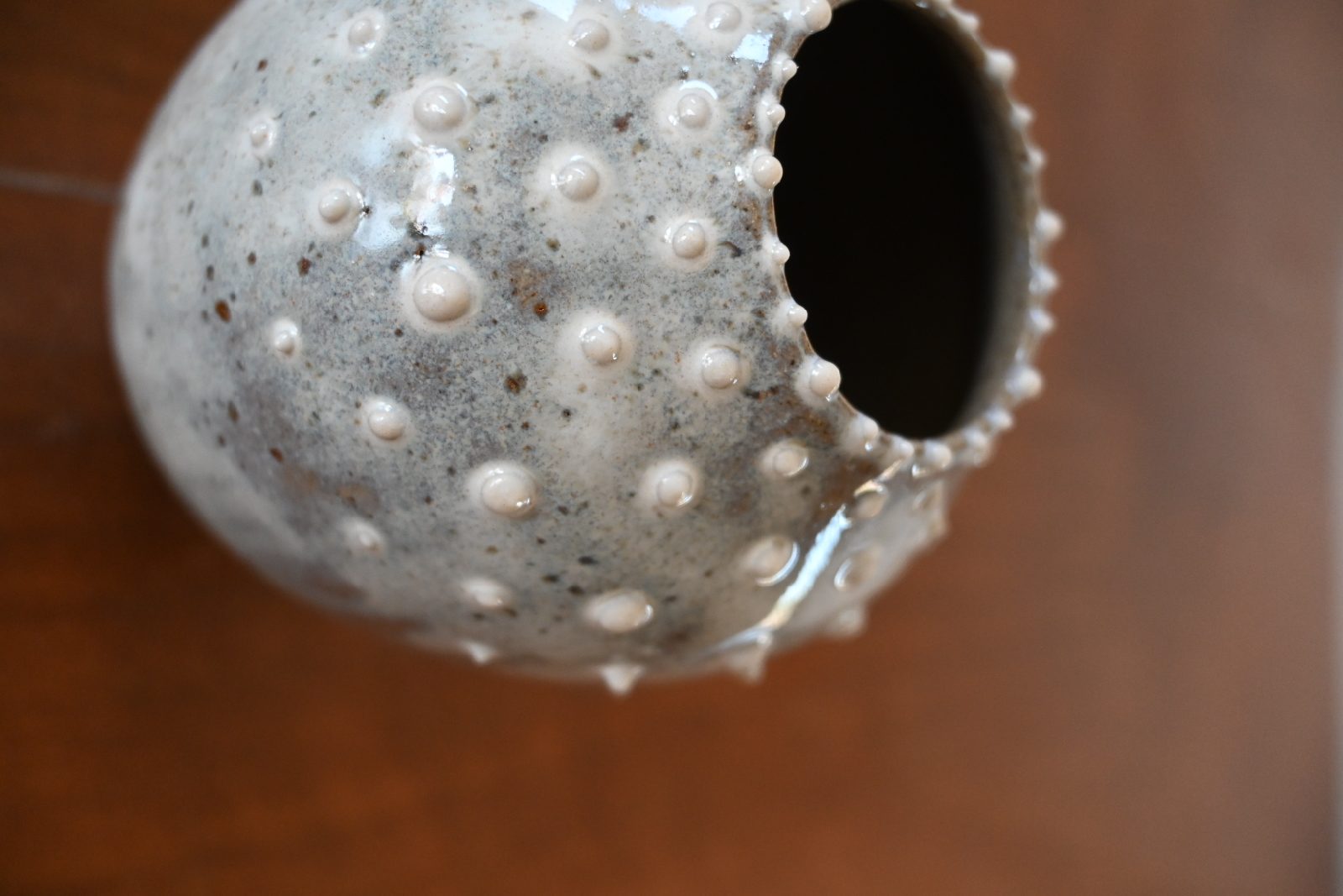 vaso pois 2