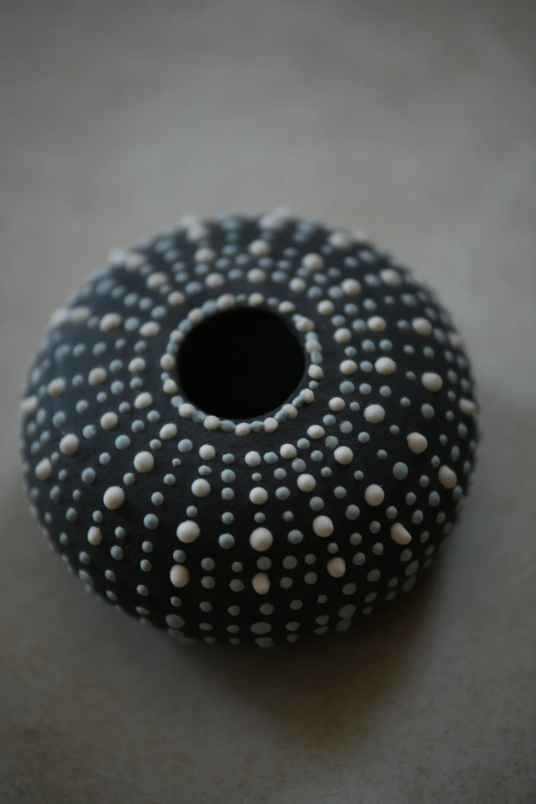 Riccio Nero