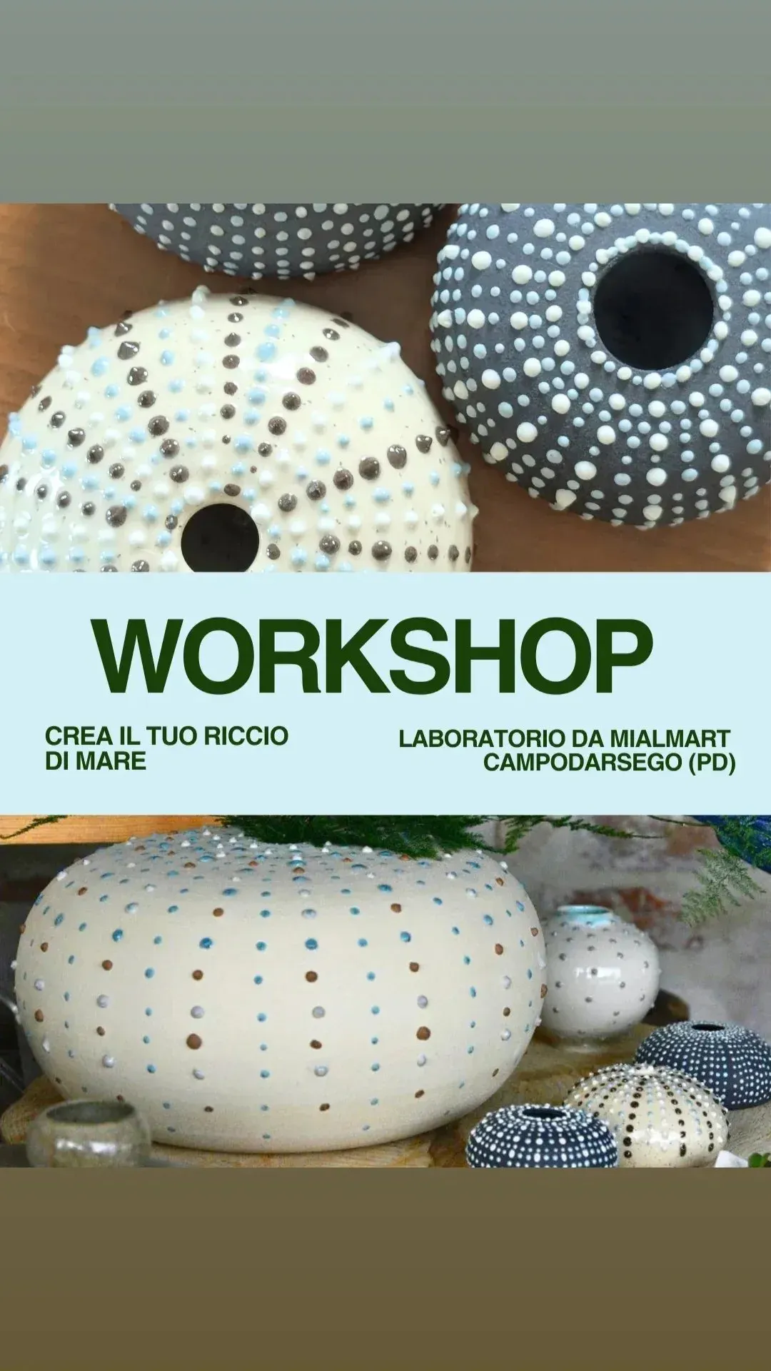 sea urchins workshop