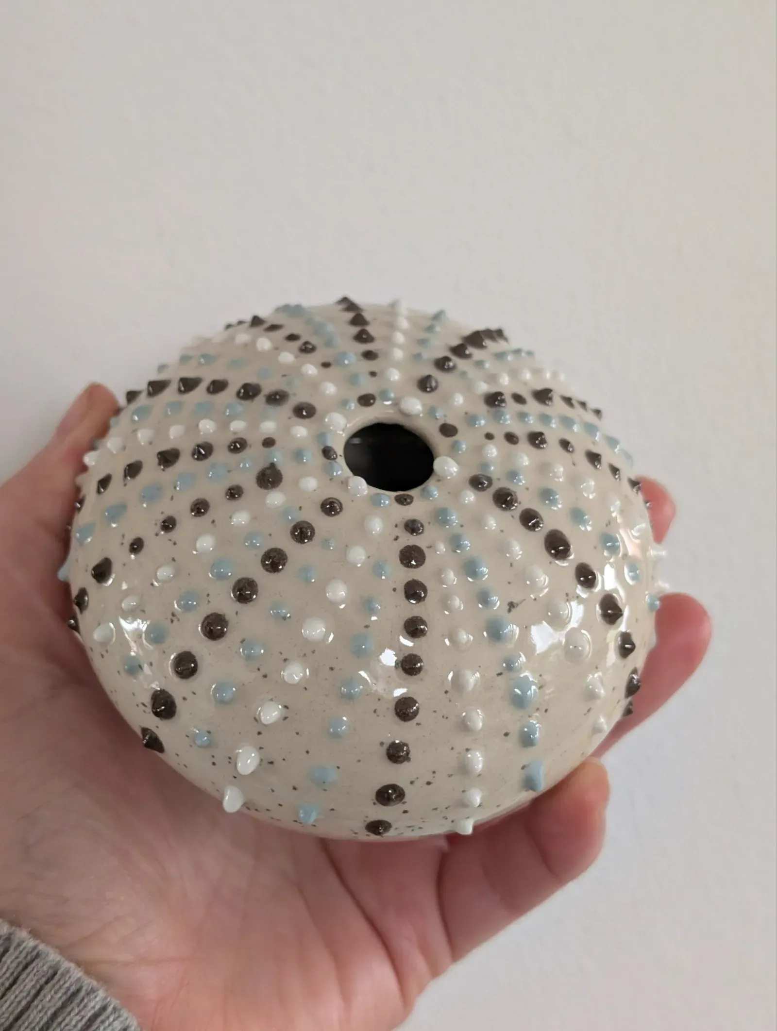 sea urchins workshop 2